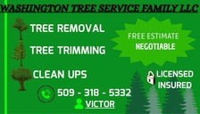 Avatar for WASHINGTON TREE SERVICE FAMILY LLC
