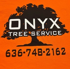Logo for Onyx Tree Service