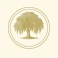 Avatar for Willow Window Treatment