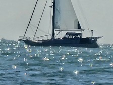 Avatar for Pauls Drywall