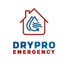 Avatar for DryPro Emergency Water Damage Restoration