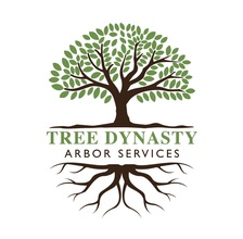 Avatar for Tree Dynasty Arbor Services
