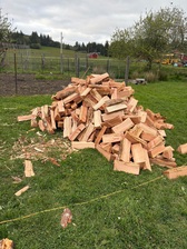 Avatar for WB Trees & Landscaping - Unlicensed Contractor
