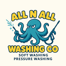 Avatar for All n All Washing Co