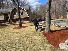 Avatar for Rene Nolasco New Generation Landscaping