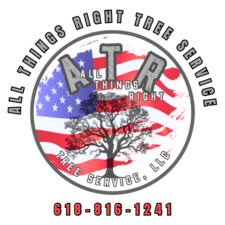 Avatar for ATR Tree Service