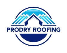 Avatar for ProDry Roofing LLC
