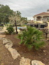 Avatar for Alvarez Landscape