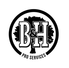 Avatar for BHPro services