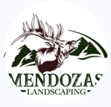 Avatar for Mendoza's Landscaping