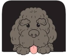 Avatar for Marley's Movers Transport Inc