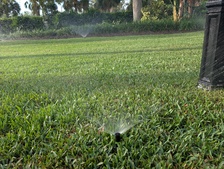 Avatar for The Irrigation Master of Southwest Florida LLC