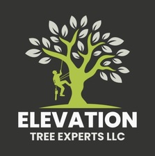 Avatar for Elevation Tree Experts