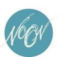 Noon Design Group logo