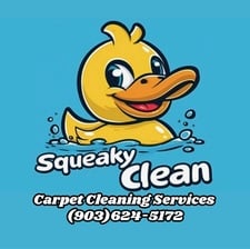 Avatar for Squeaky Clean Carpet Cleaning