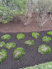 Avatar for Reillyflores landscaping
