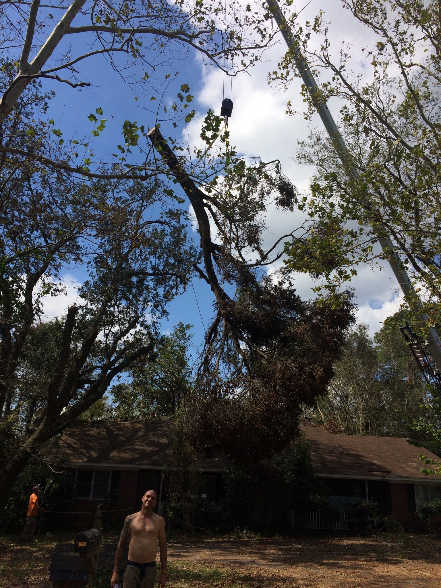Avatar for A Cut Above Tree Experts