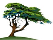 Avatar for Tree Removal - Precision Cutting Services