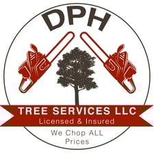 Avatar for DPH Tree Services LLC