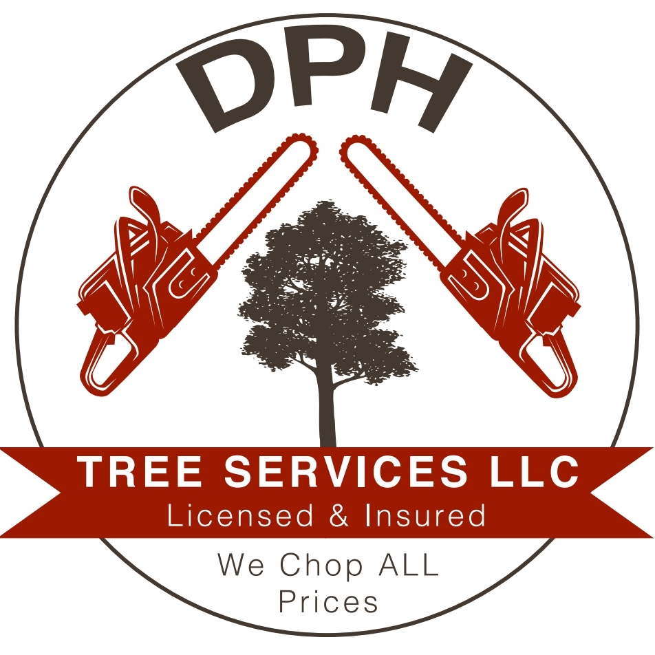 Avatar for DPH Tree Services LLC