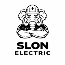 Avatar for Slon Electric