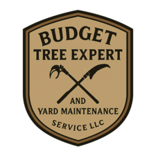 Avatar for Budget Tree Expert and Yard Maintenance Service