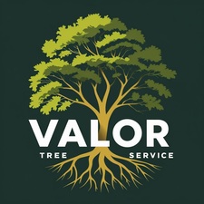 Avatar for Valor Tree Service