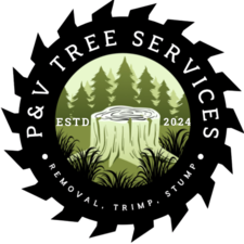 Avatar for P&V Tree Service