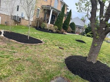 Avatar for Lopez Landscaping