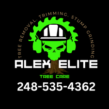Avatar for ALEX ELITE TREE CARE L.L.C.