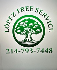 Avatar for López Tree Service