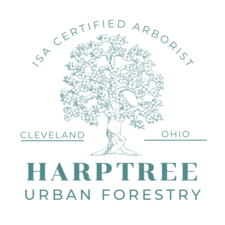 Avatar for Harptree Urban Forestry