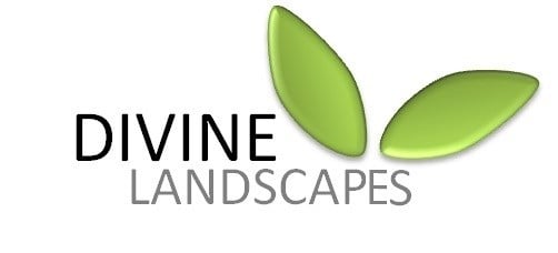 Avatar for Divine Landscapes
