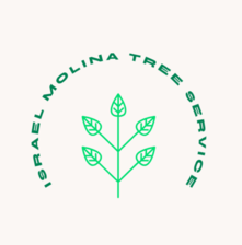 Avatar for Israel Molina Tree Service