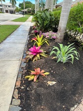 Avatar for JM Lawn Services