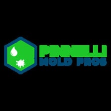 Avatar for Pinnelli Mold Pros, LLC