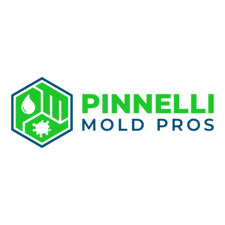 Avatar for Pinnelli Mold Pros, LLC
