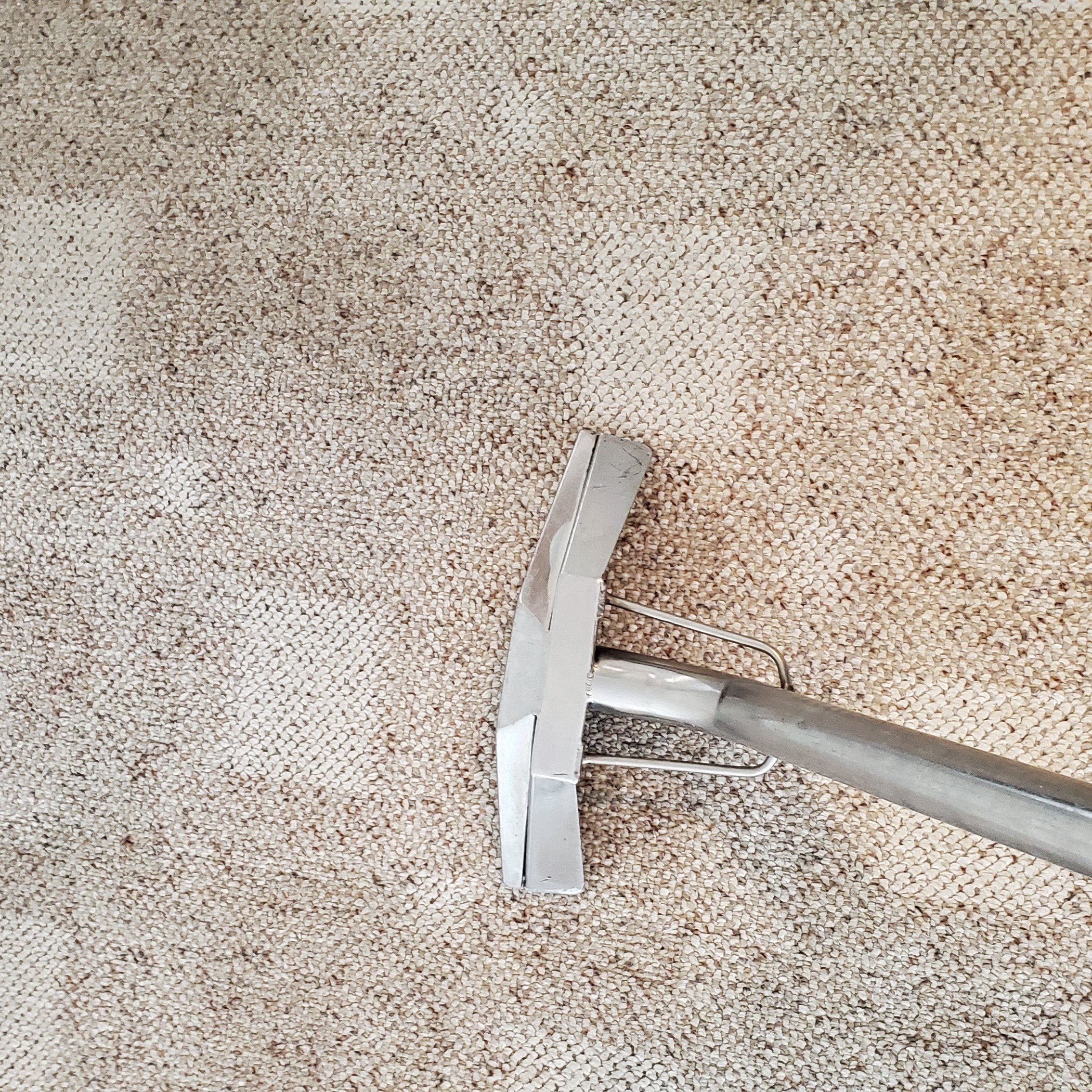 Avatar for Brighter Tomorrows Carpet Cleaning