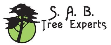 Avatar for SAB Tree Experts