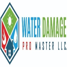 Avatar for Water Damage Pro Master