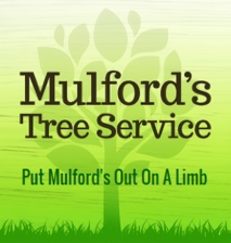 Avatar for MULFORD TREE SVC LLC
