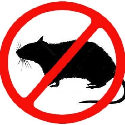 Avatar for Done Right Rodent Proofing