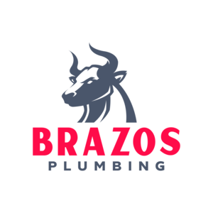 Avatar for Brazos Plumbing