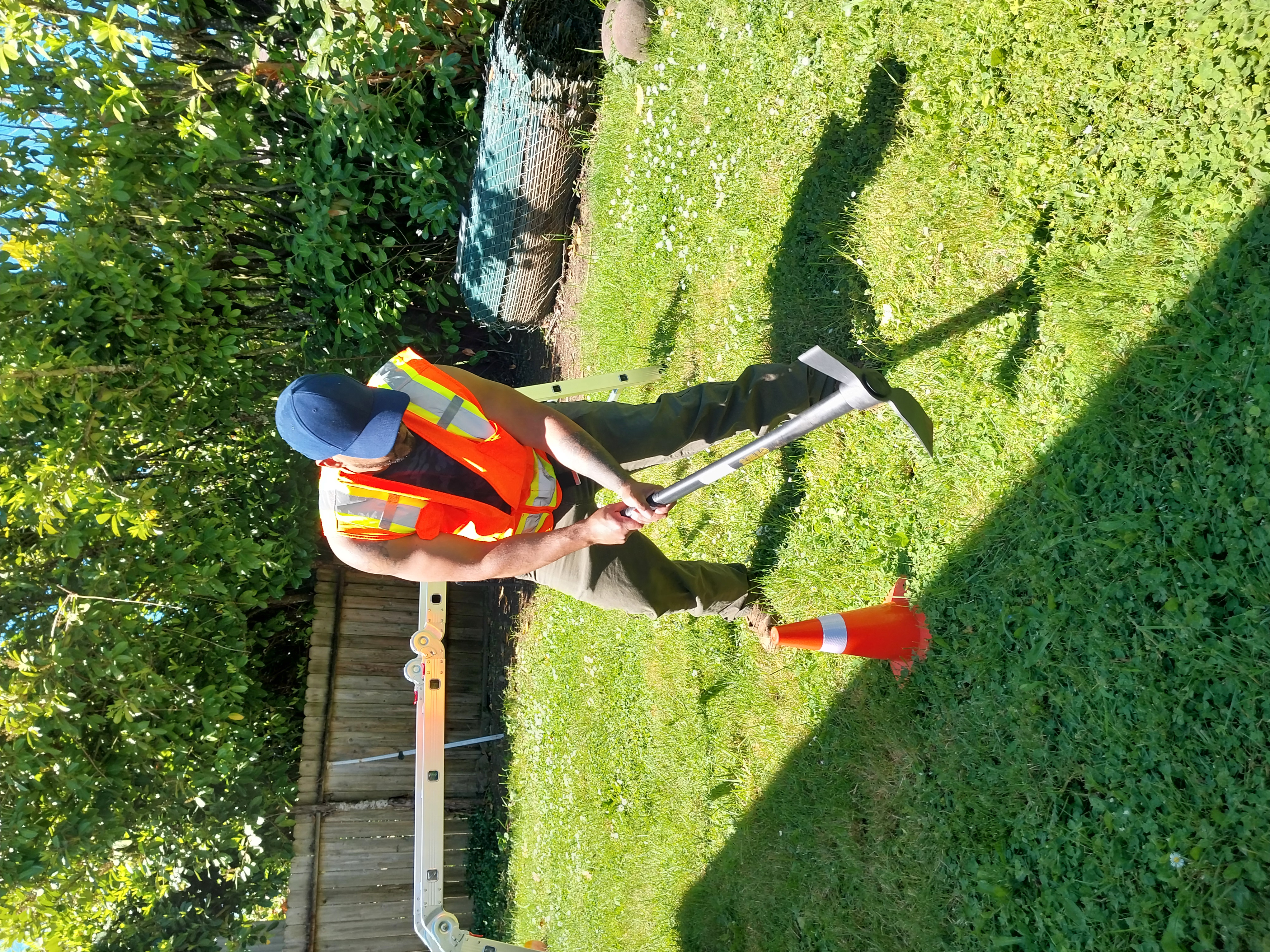 Avatar for Rojas Complete Garden Solutions