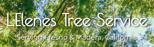 Avatar for L ELENE'S TREE SERVICE