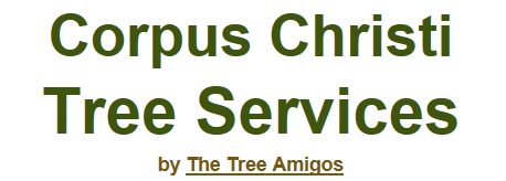 Avatar for The Tree Amigos