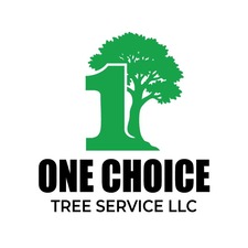 Avatar for ONE CHOICE TREE SERVICE LLC