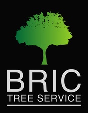 Logo for Bric Tree Service LLC