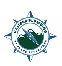 Avatar for CALIBER PLUMBING SERVICES LLC