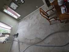 Avatar for Olsen Restoration Carpet Cleaning Services